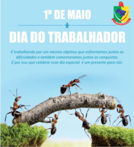 A Câmara Municipal de Estrela Velha parabeniza todos os Trabalhadores.