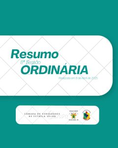 RESUMO DA 8ª SESSÃO ORDINÁRIA DE 2025