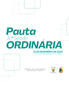 PAUTA DA 29º SESSÃO ORDINÁRIA DE 2025.